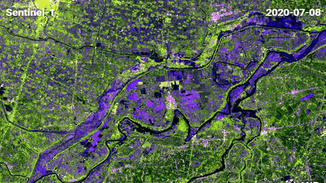 雷达卫星拍摄的王家坝监测图
