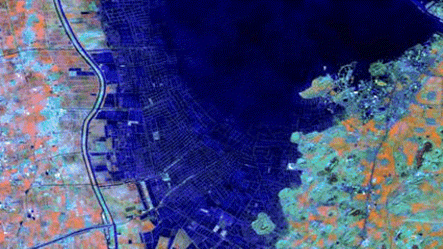 微山湖假彩色影像图