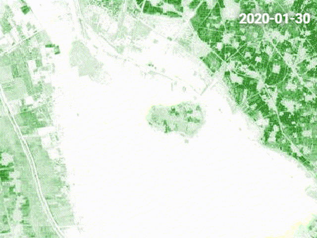 基于卫星影像提取的微山湖叶绿素指数图