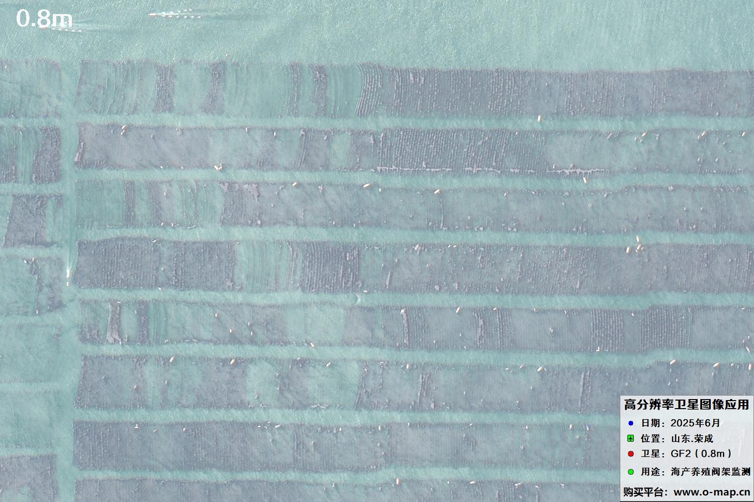 0.8米GF2卫星拍摄的山东省荣成市沿海养殖阀架卫星图像