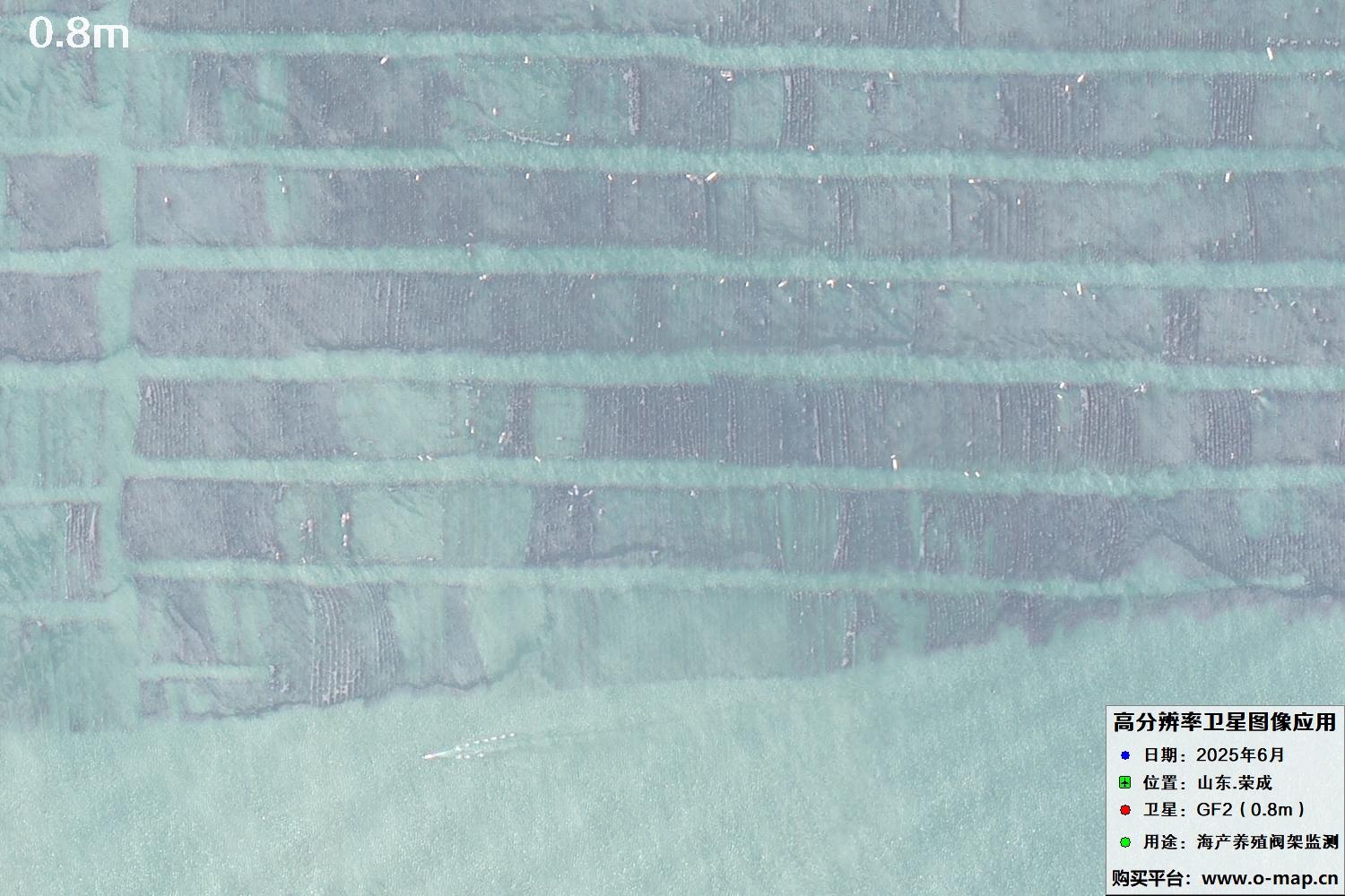 0.8米GF2卫星拍摄的山东省荣成市沿海养殖阀架卫星图像