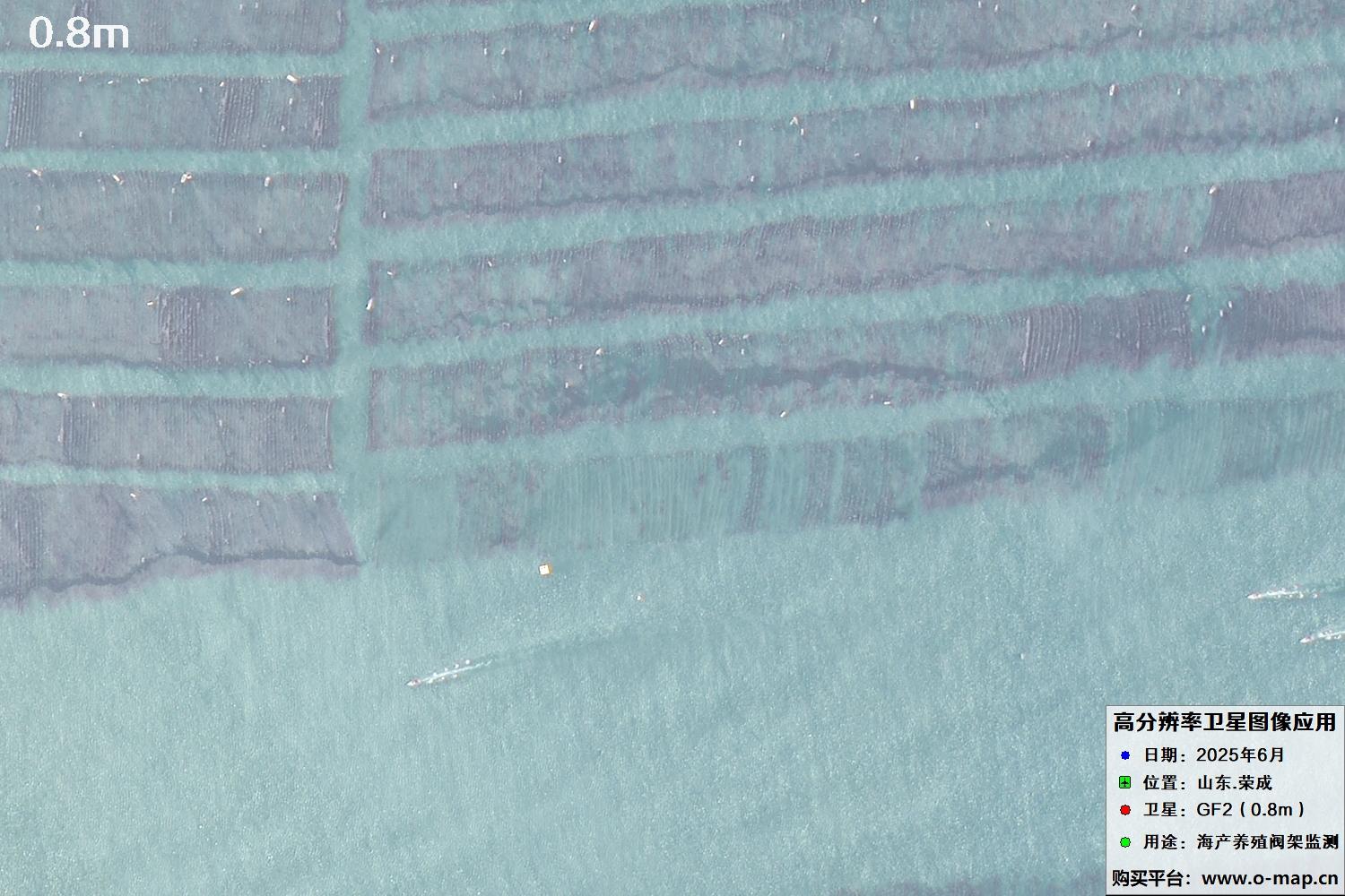 0.8米GF2卫星拍摄的山东省荣成市沿海养殖阀架卫星图像