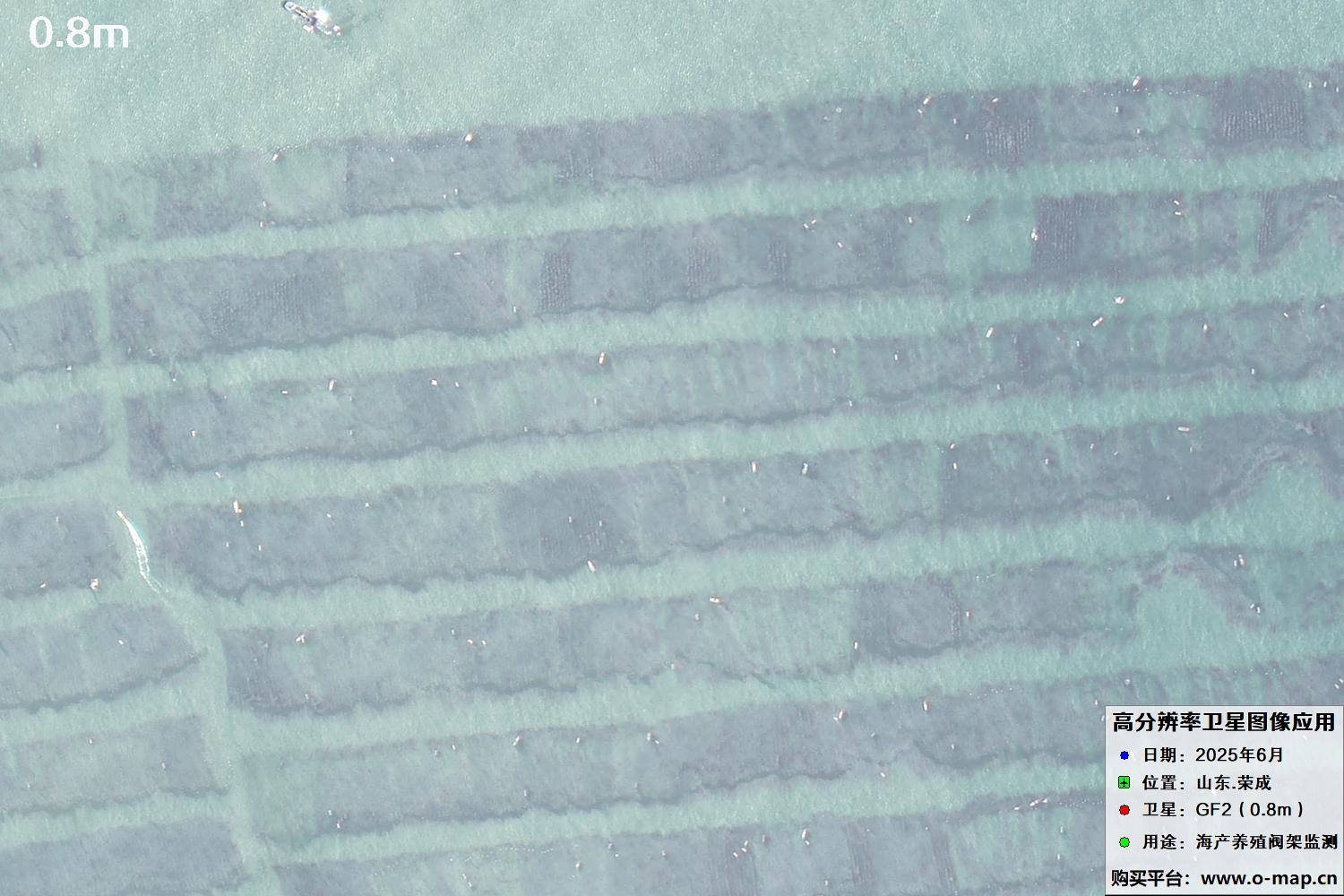 0.8米GF2卫星拍摄的山东省荣成市沿海养殖阀架卫星图像