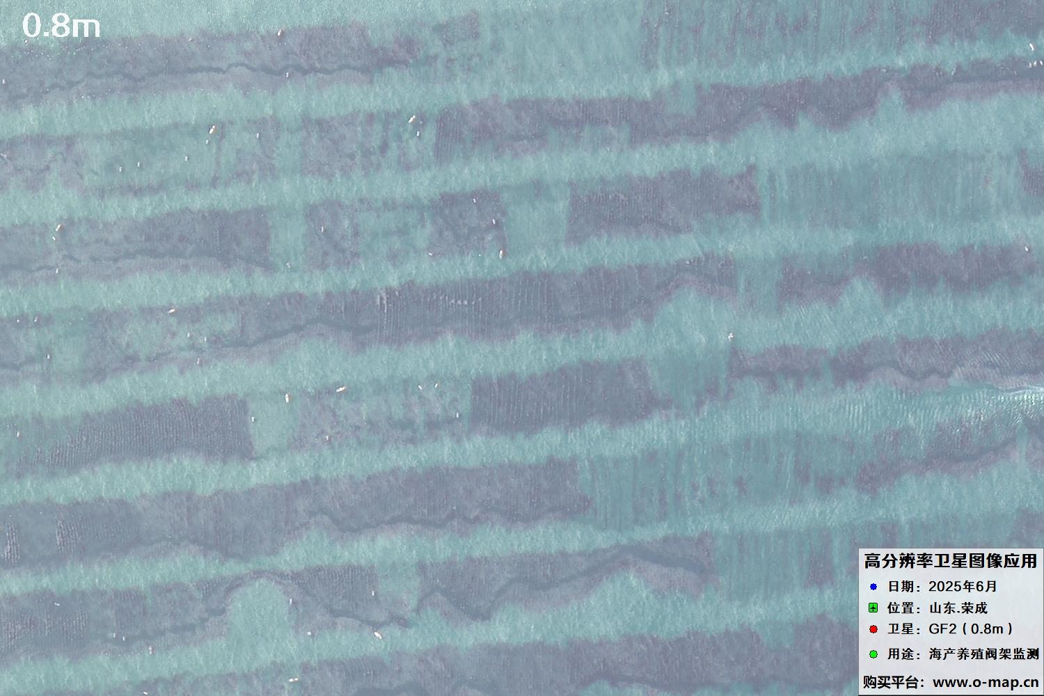 0.8米GF2卫星拍摄的山东省荣成市沿海养殖阀架卫星图像