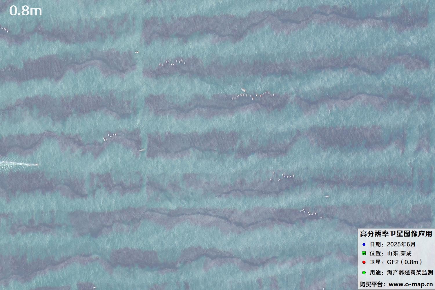 0.8米GF2卫星拍摄的山东省荣成市沿海养殖阀架卫星图像