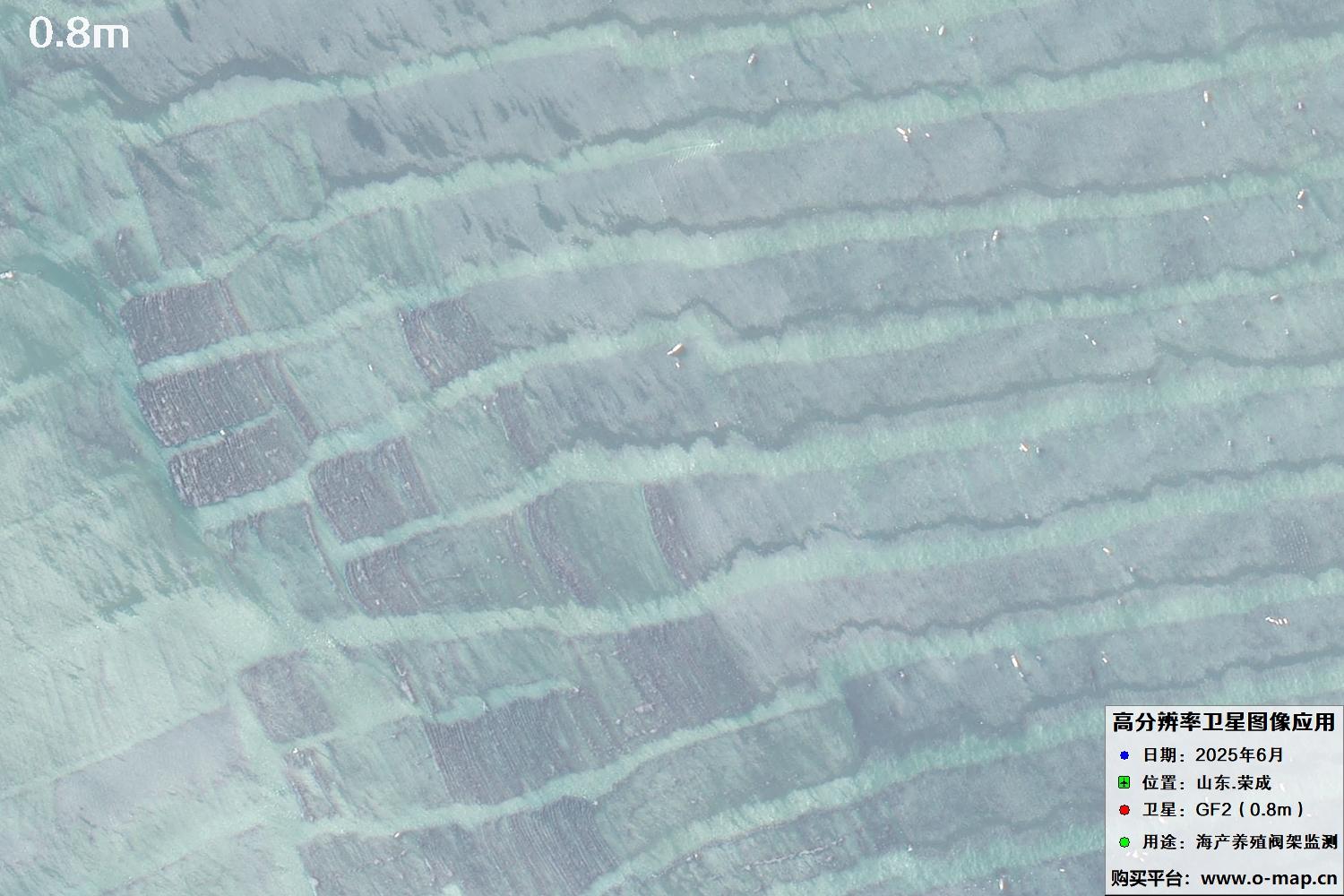 0.8米GF2卫星拍摄的山东省荣成市沿海养殖阀架卫星图像