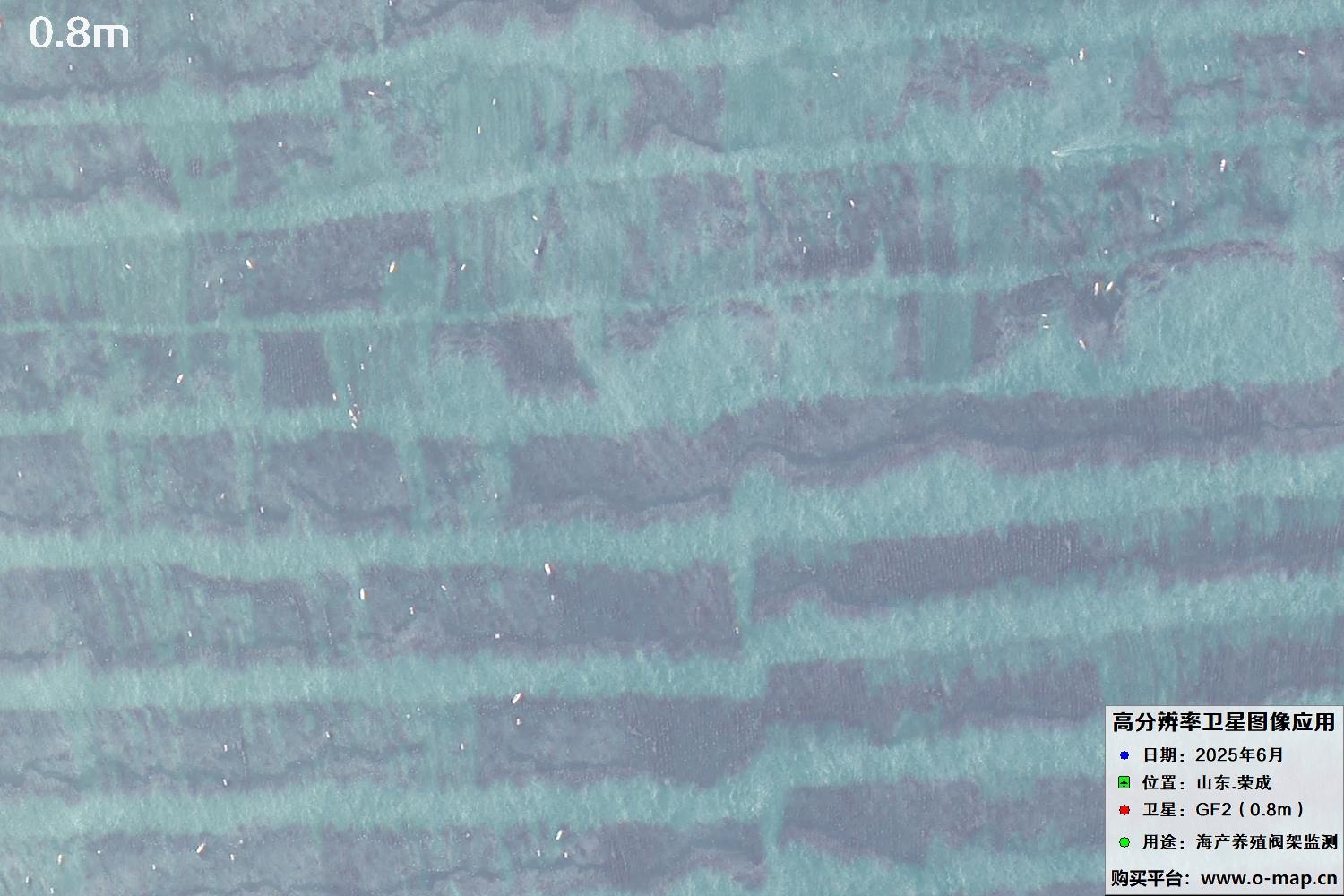 0.8米GF2卫星拍摄的山东省荣成市沿海养殖阀架卫星图像