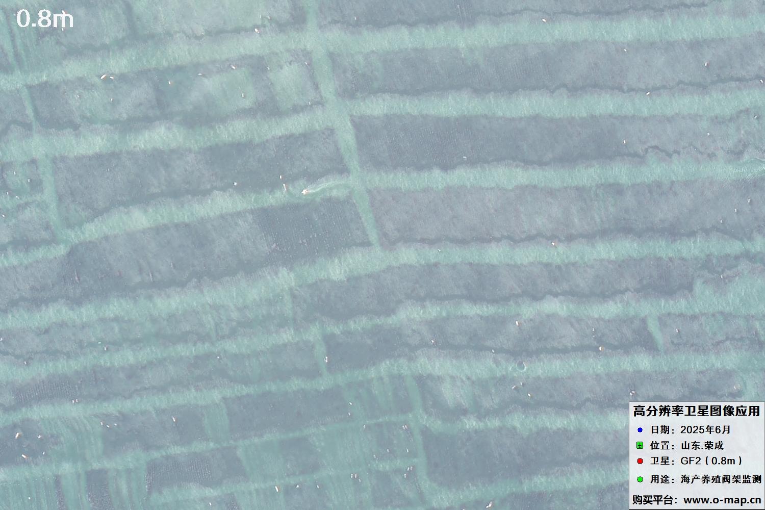 0.8米GF2卫星拍摄的山东省荣成市沿海养殖阀架卫星图像