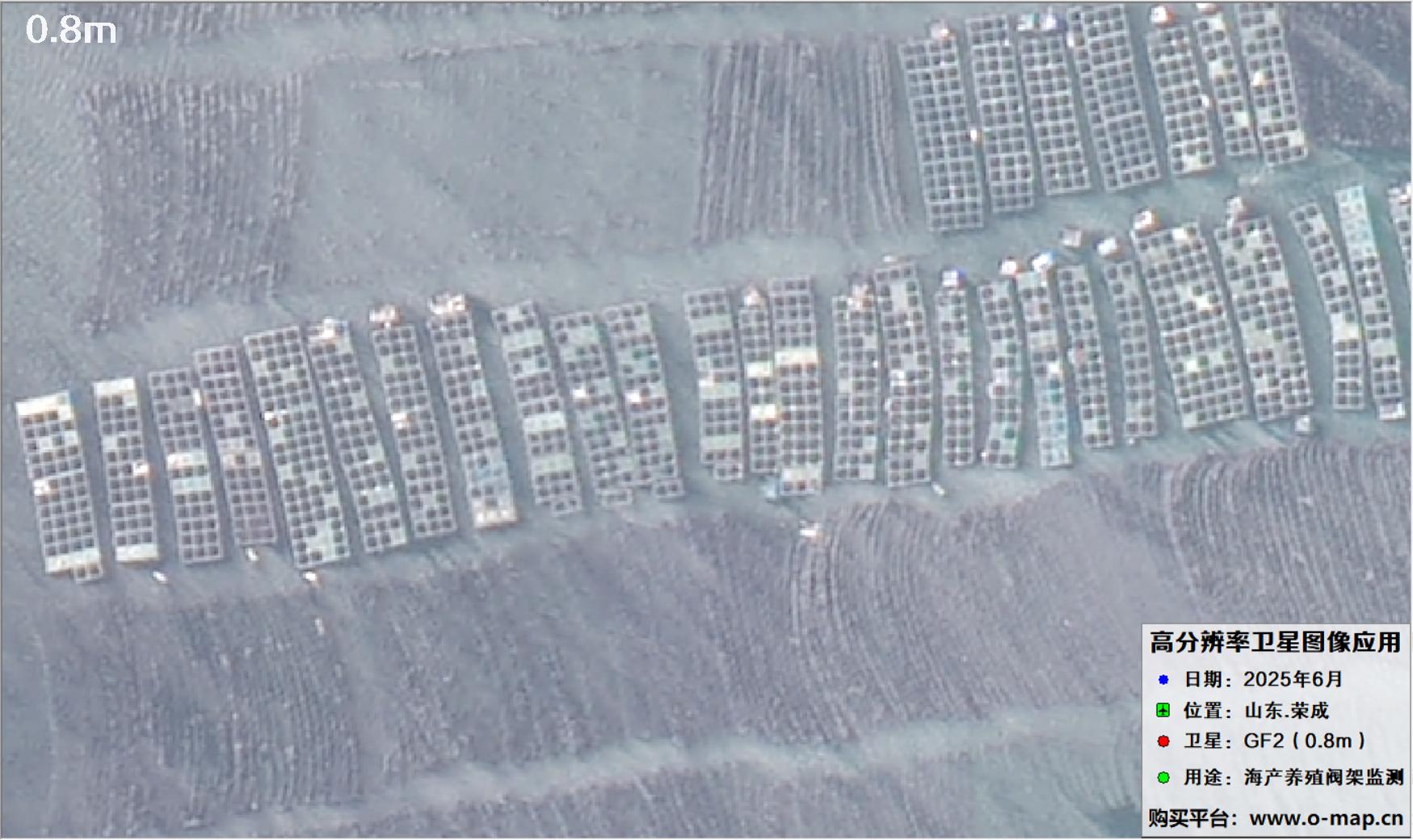 0.8米GF2卫星拍摄的山东省荣成市沿海养殖阀架卫星图像
