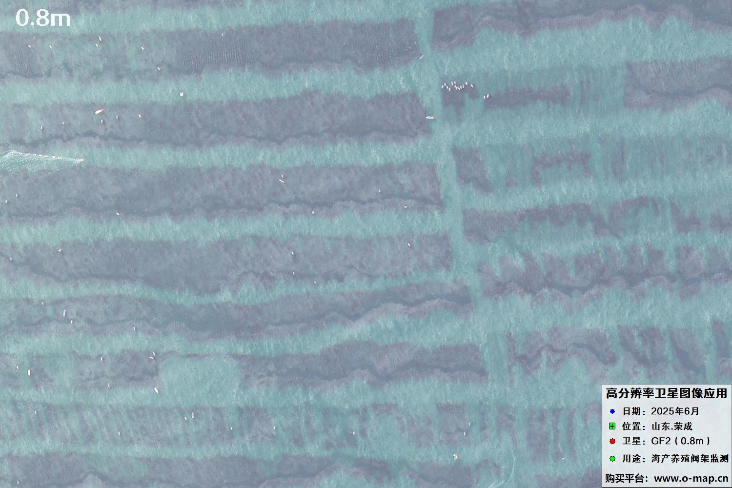 0.8米GF2卫星拍摄的山东省荣成市沿海养殖阀架卫星图像