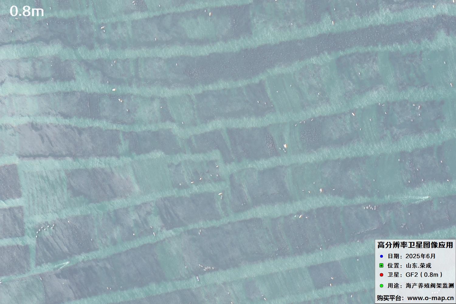0.8米GF2卫星拍摄的山东省荣成市沿海养殖阀架卫星图像