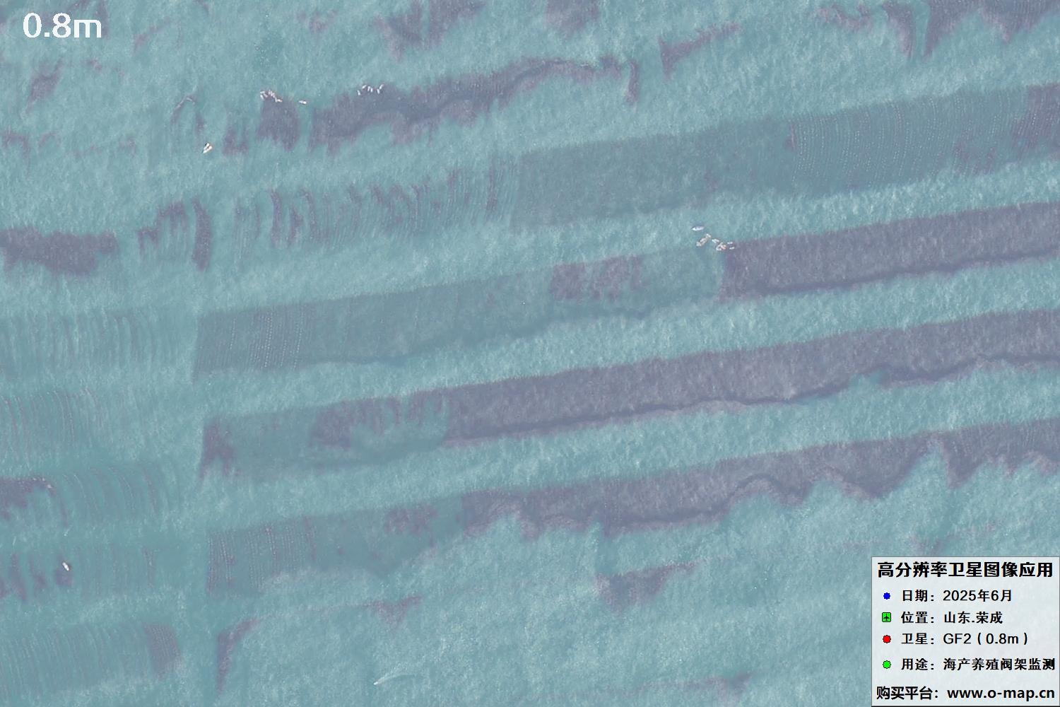 0.8米GF2卫星拍摄的山东省荣成市沿海养殖阀架卫星图像