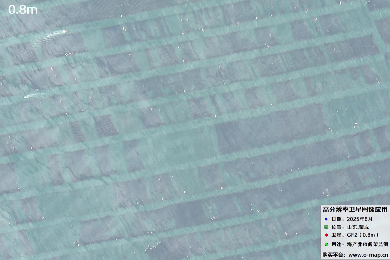 0.8米GF2卫星拍摄的山东省荣成市沿海养殖阀架卫星图像