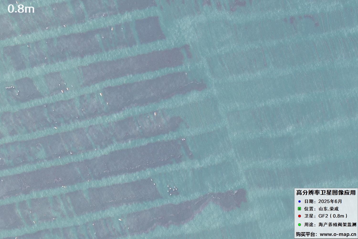 0.8米GF2卫星拍摄的山东省荣成市沿海养殖阀架卫星图像
