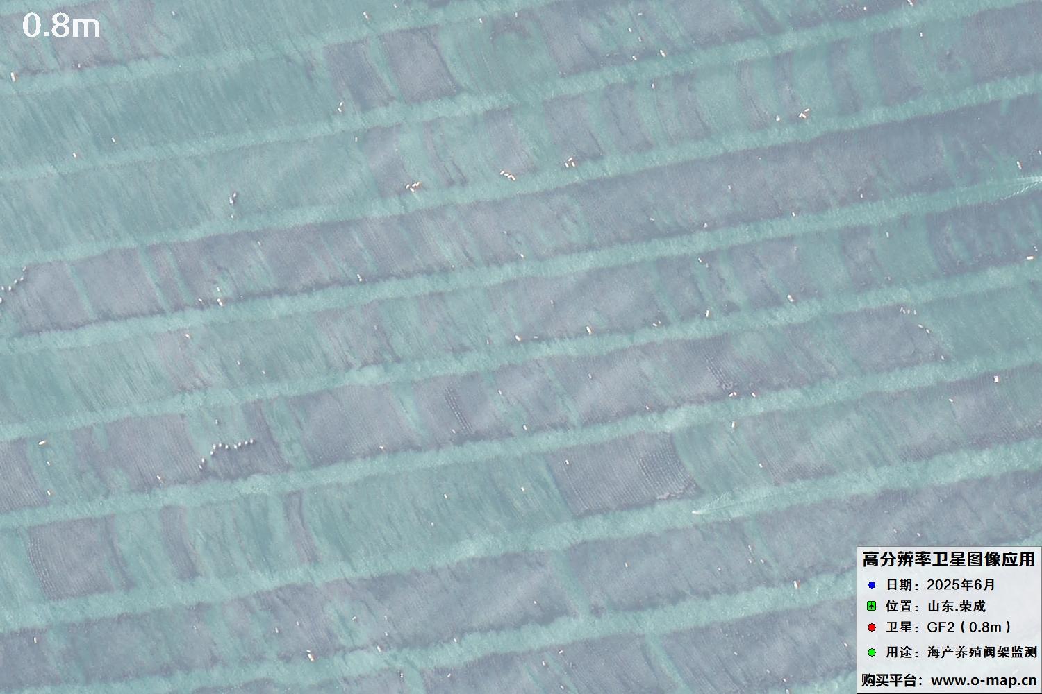 0.8米GF2卫星拍摄的山东省荣成市沿海养殖阀架卫星图像