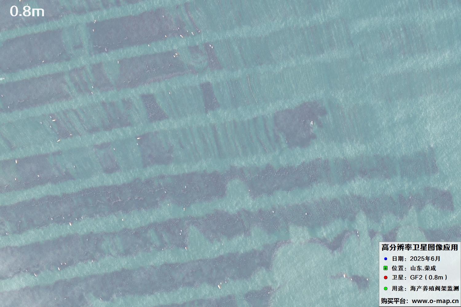 0.8米GF2卫星拍摄的山东省荣成市沿海养殖阀架卫星图像