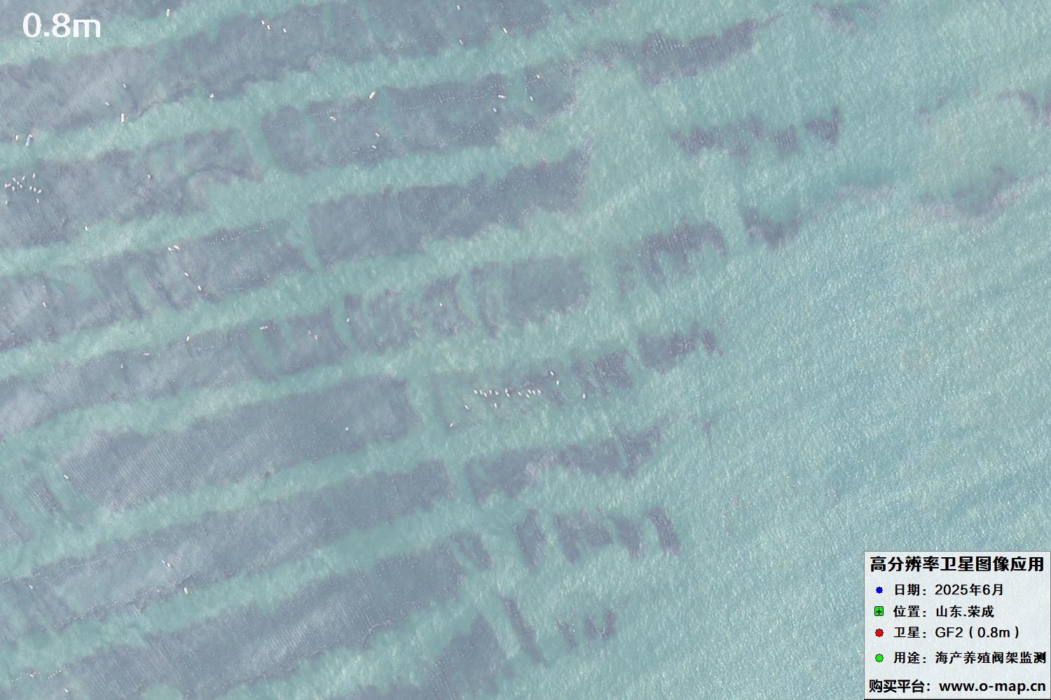0.8米GF2卫星拍摄的山东省荣成市沿海养殖阀架卫星图像