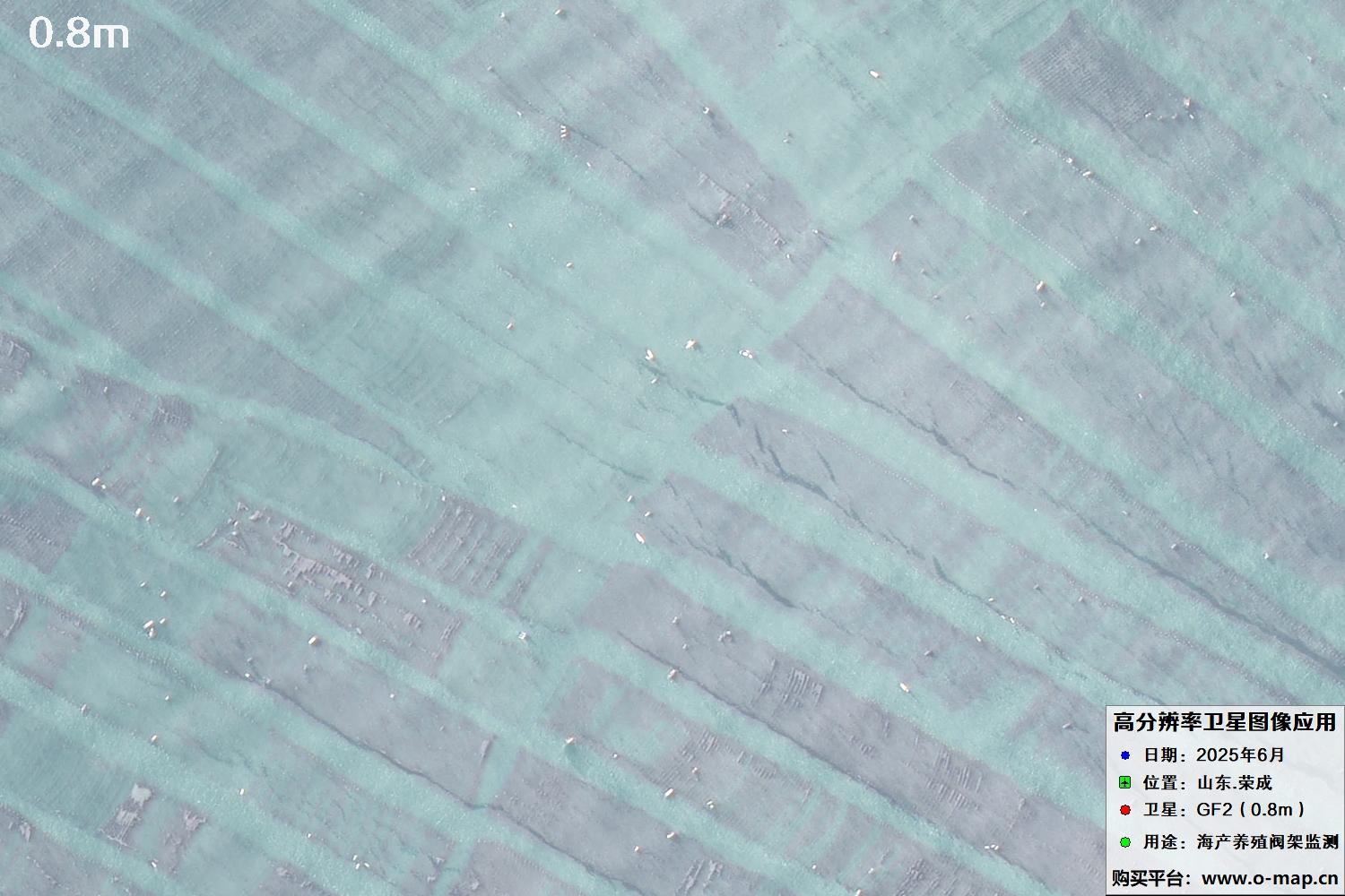 0.8米GF2卫星拍摄的山东省荣成市沿海养殖阀架卫星图像