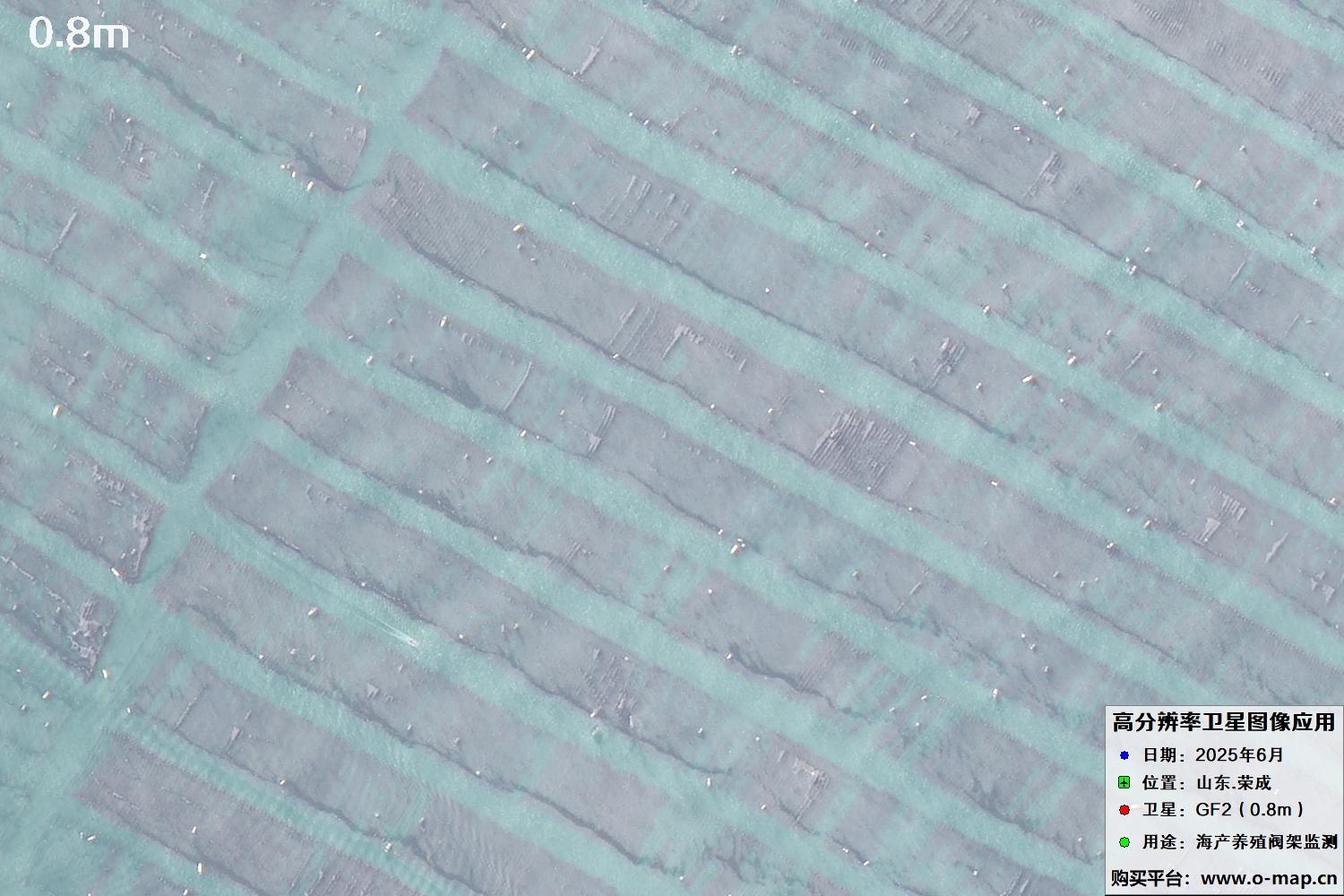 0.8米GF2卫星拍摄的山东省荣成市沿海养殖阀架卫星图像