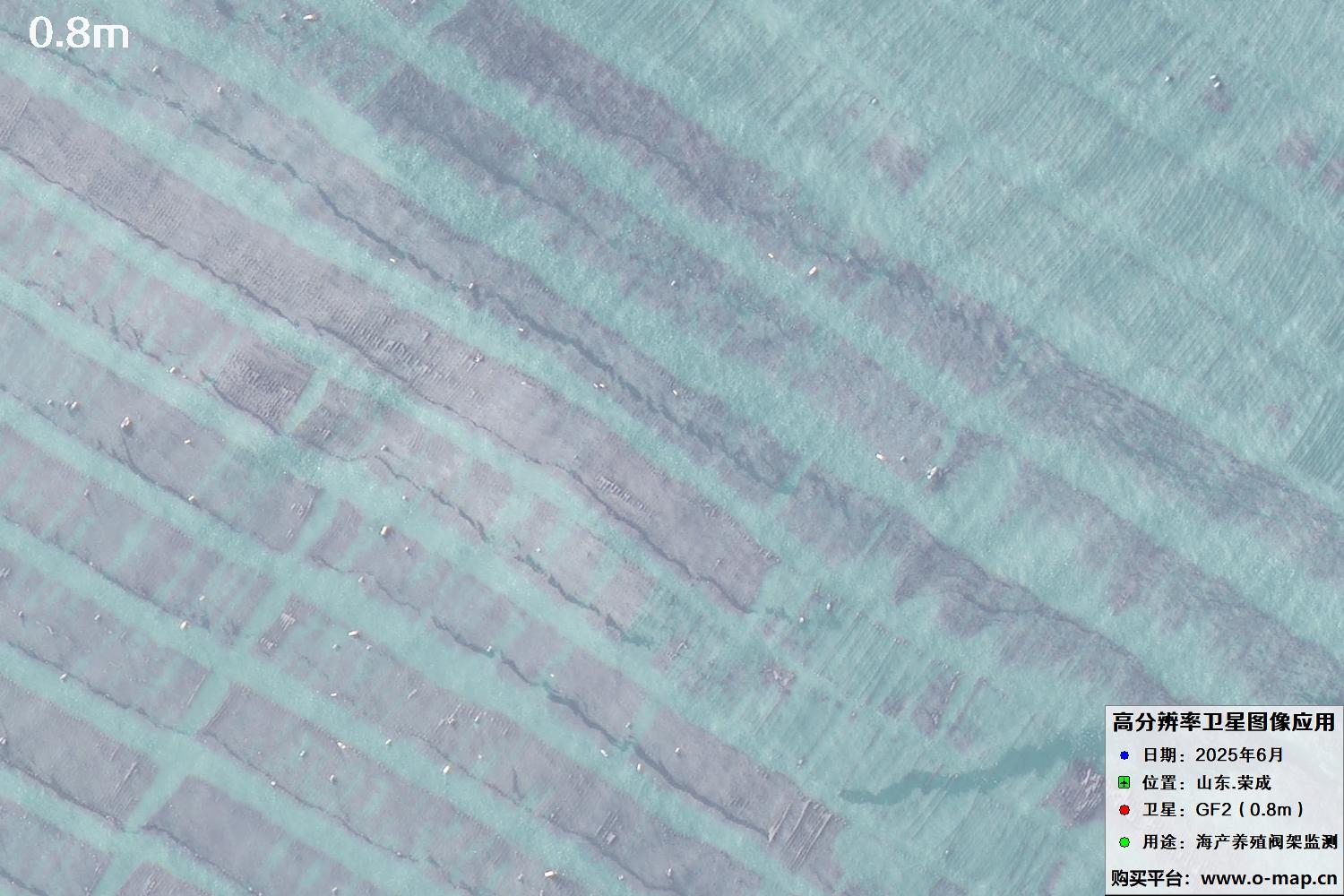 0.8米GF2卫星拍摄的山东省荣成市沿海养殖阀架卫星图像