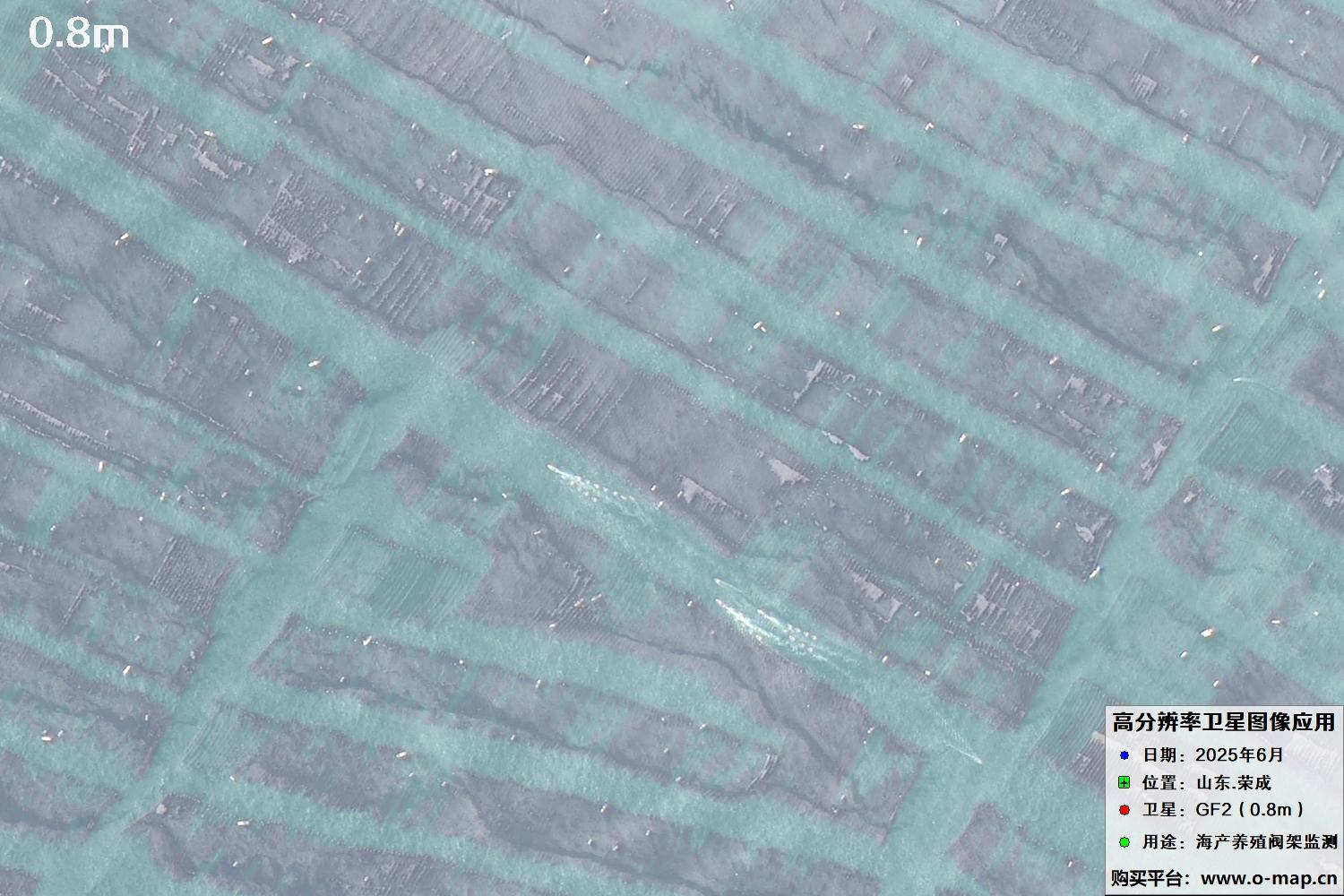 0.8米GF2卫星拍摄的山东省荣成市沿海养殖阀架卫星图像