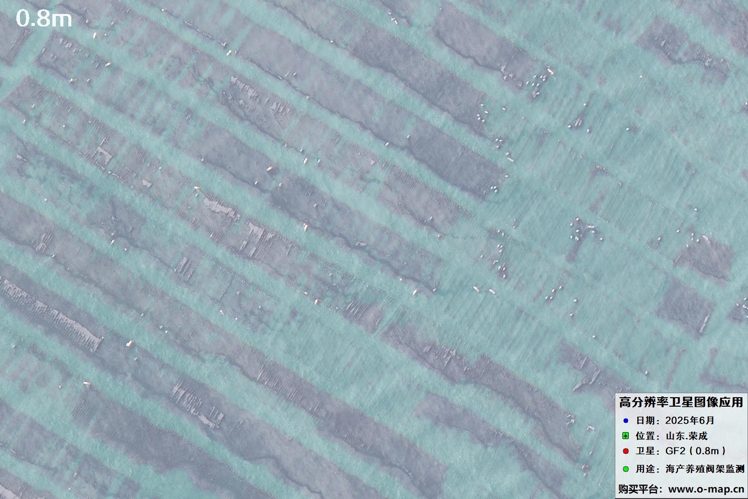 0.8米GF2卫星拍摄的山东省荣成市沿海养殖阀架卫星图像