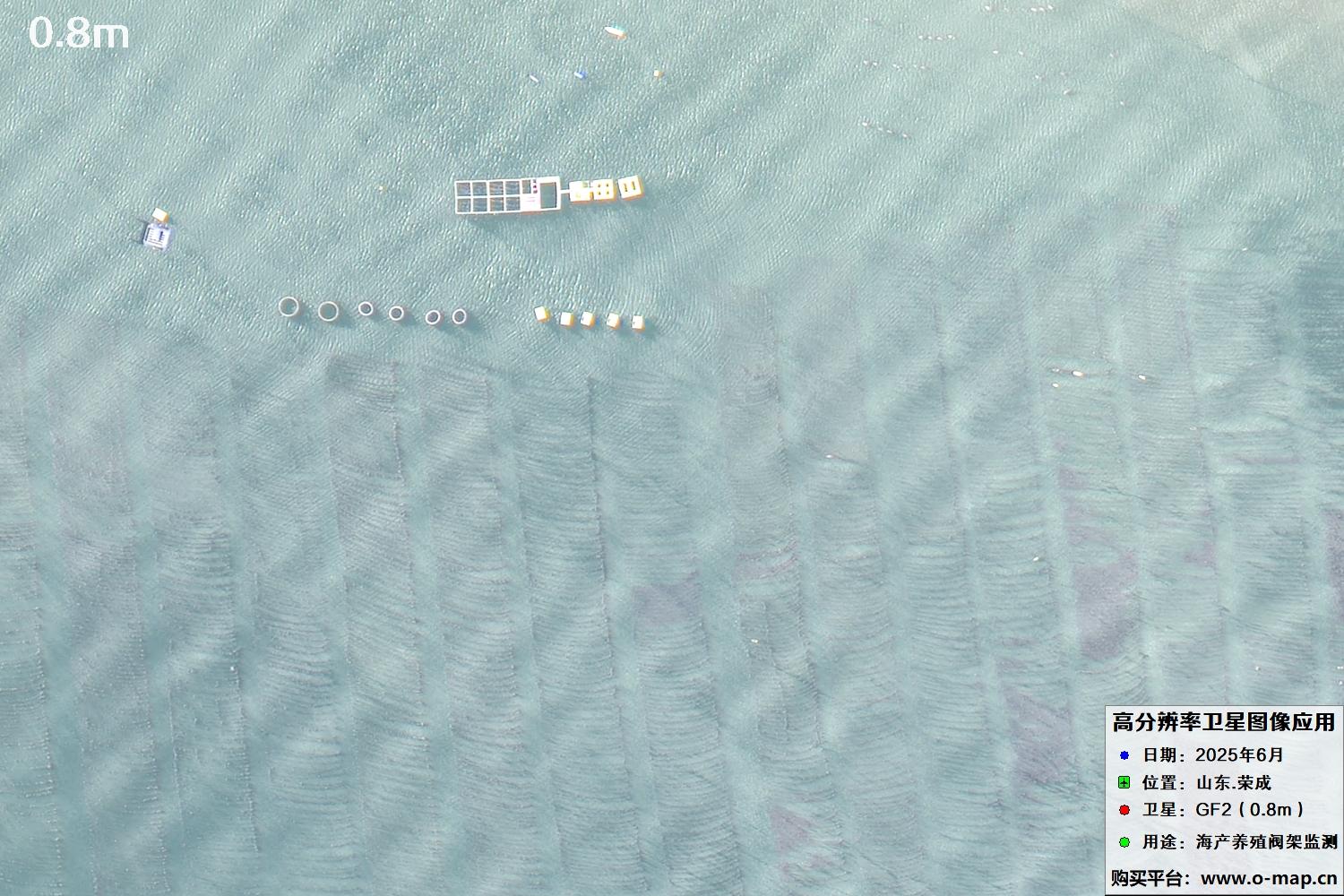 0.8米GF2卫星拍摄的山东省荣成市沿海养殖阀架卫星图像