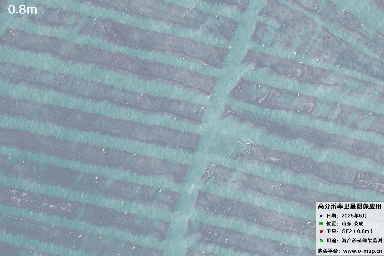 0.8米GF2卫星拍摄的山东省荣成市沿海养殖阀架卫星图像