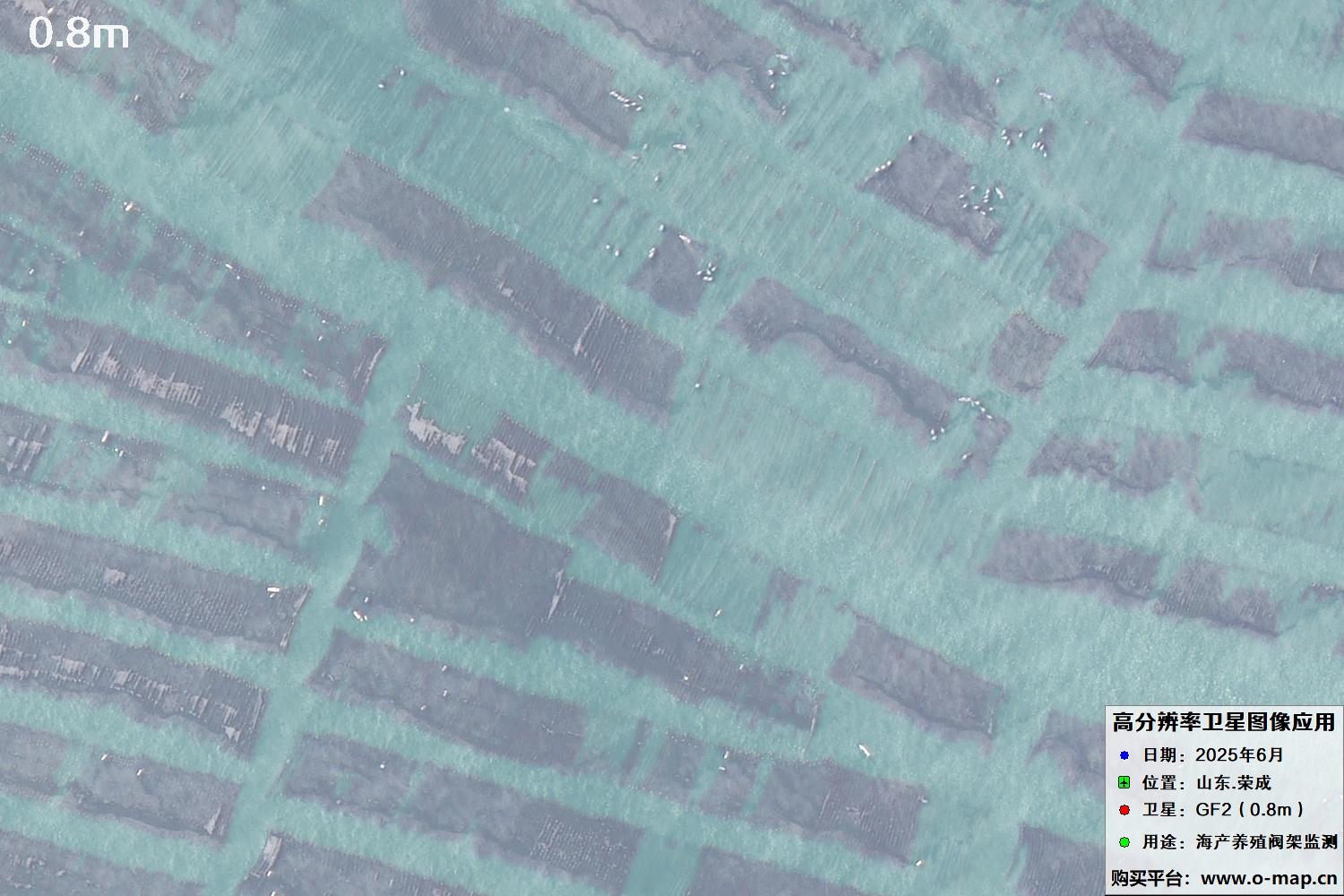 0.8米GF2卫星拍摄的山东省荣成市沿海养殖阀架卫星图像