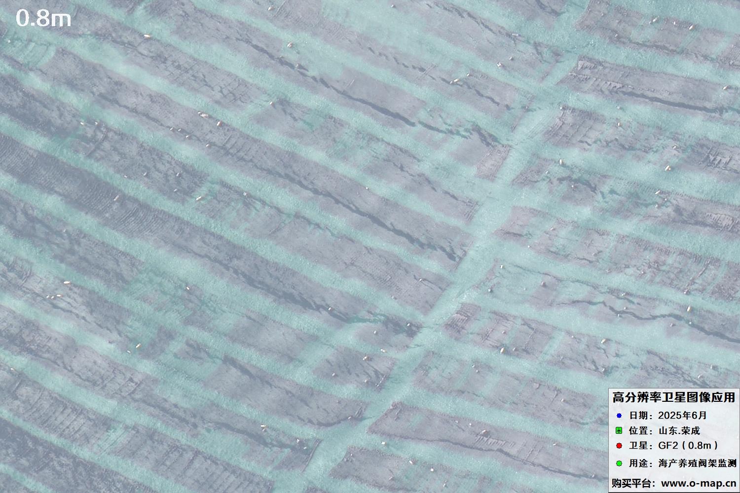 0.8米GF2卫星拍摄的山东省荣成市沿海养殖阀架卫星图像