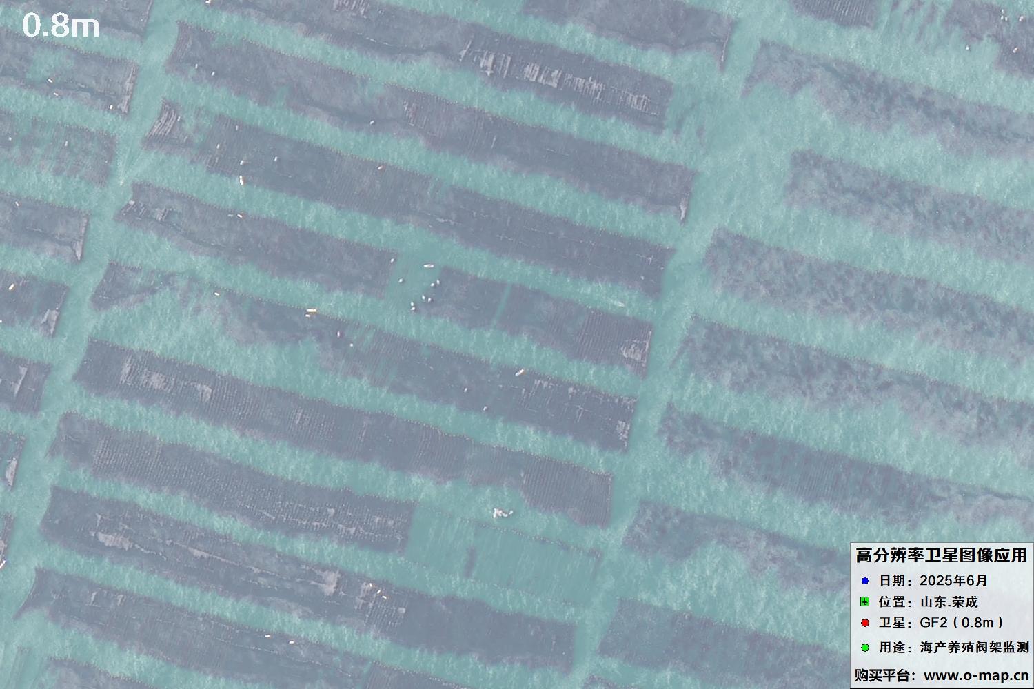 0.8米GF2卫星拍摄的山东省荣成市沿海养殖阀架卫星图像