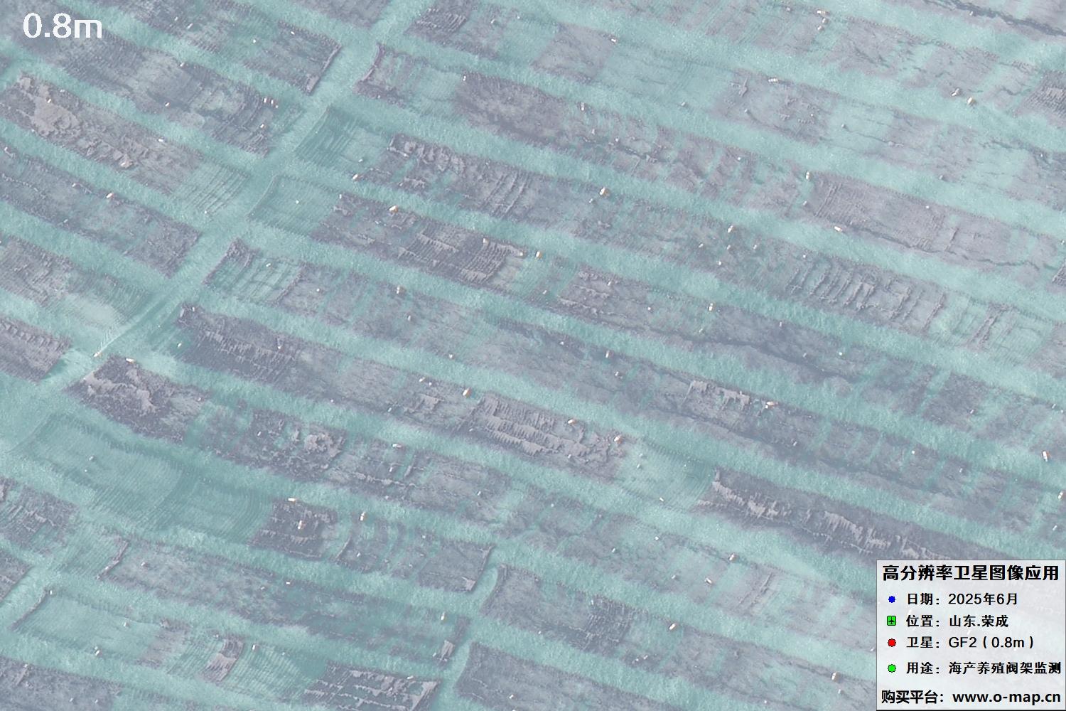 0.8米GF2卫星拍摄的山东省荣成市沿海养殖阀架卫星图像