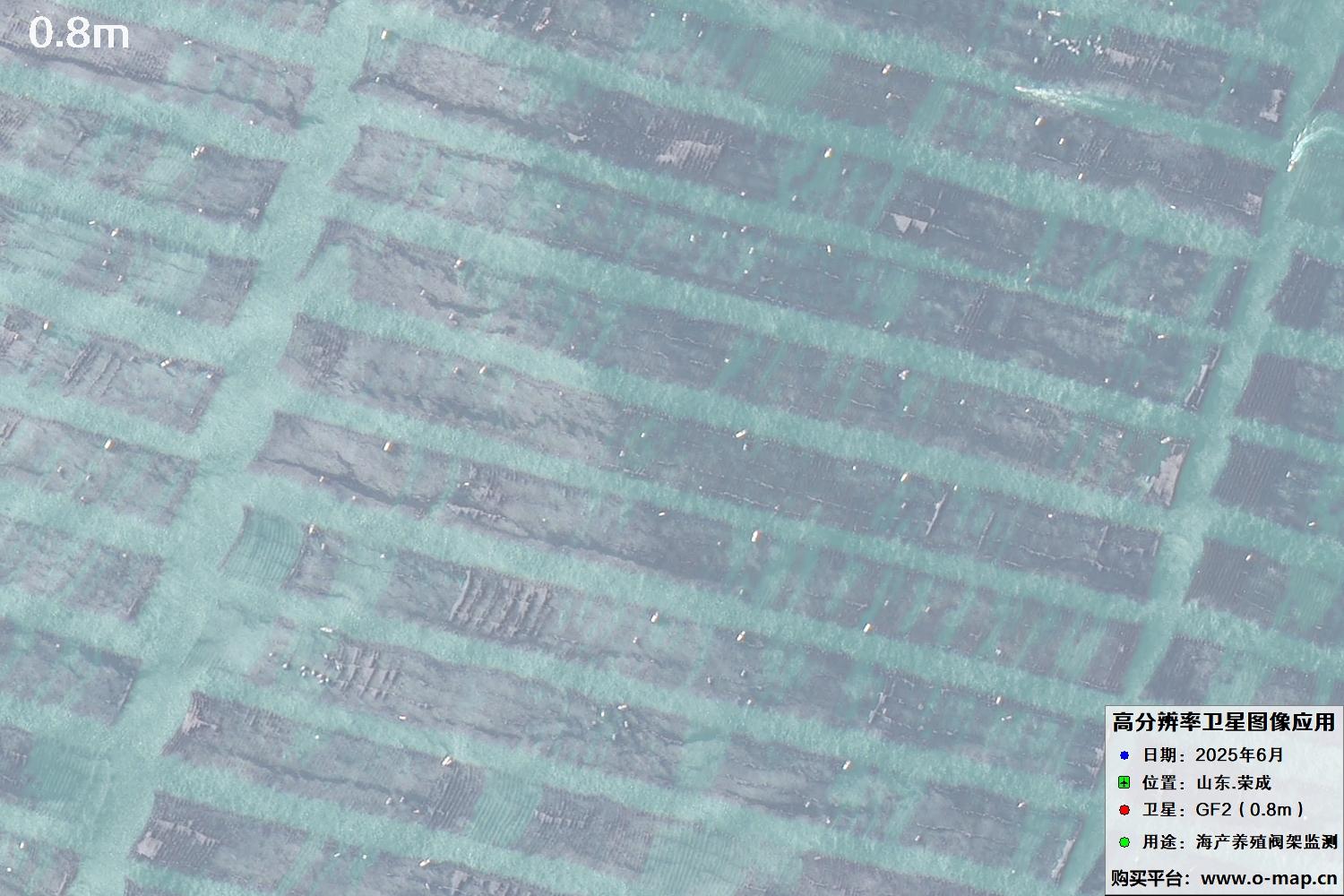 0.8米GF2卫星拍摄的山东省荣成市沿海养殖阀架卫星图像