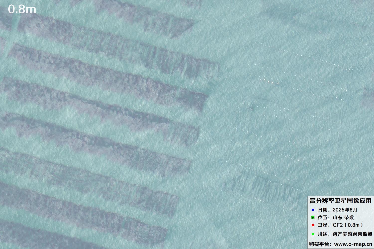 0.8米GF2卫星拍摄的山东省荣成市沿海养殖阀架卫星图像