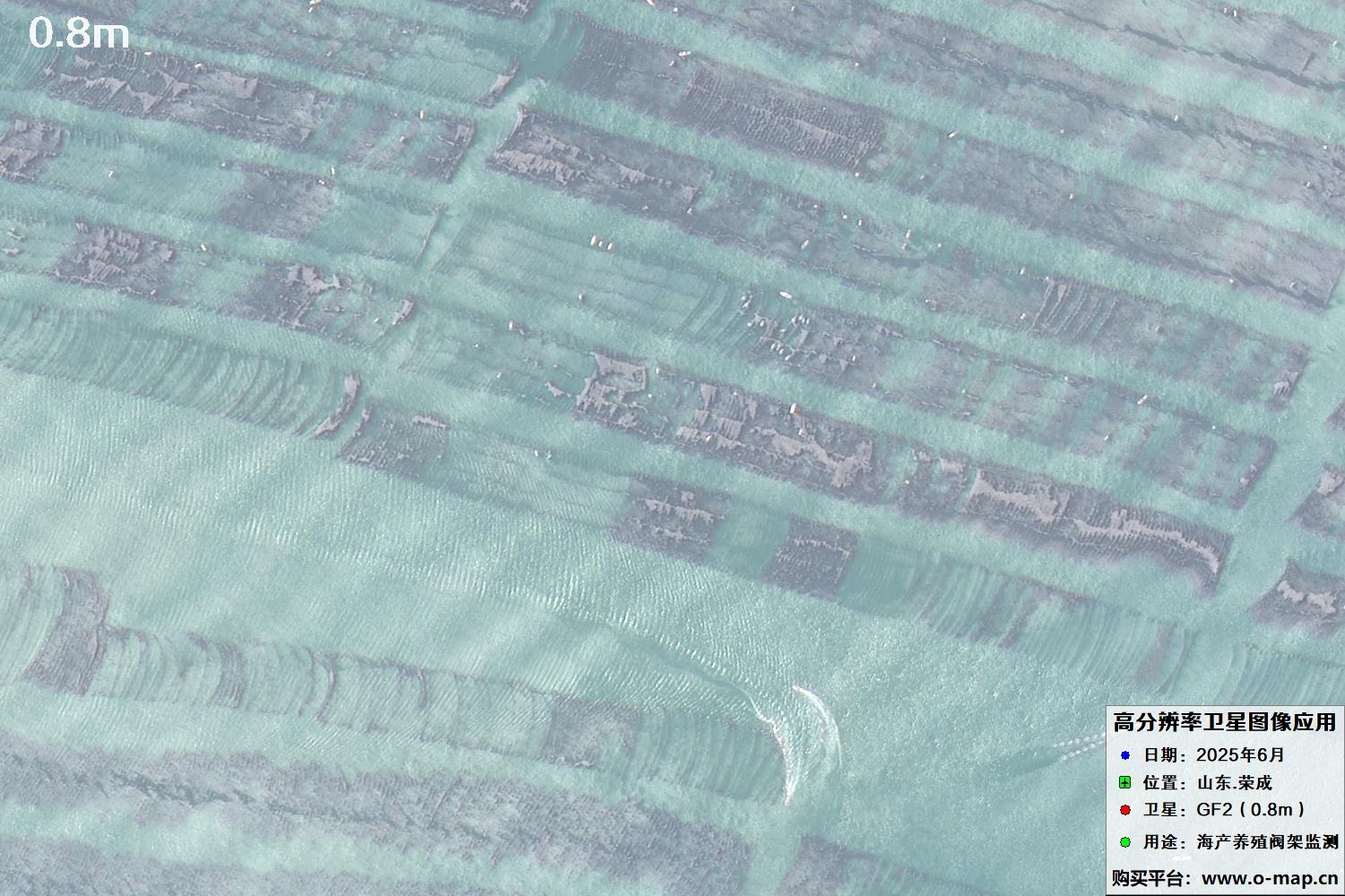 0.8米GF2卫星拍摄的山东省荣成市沿海养殖阀架卫星图像