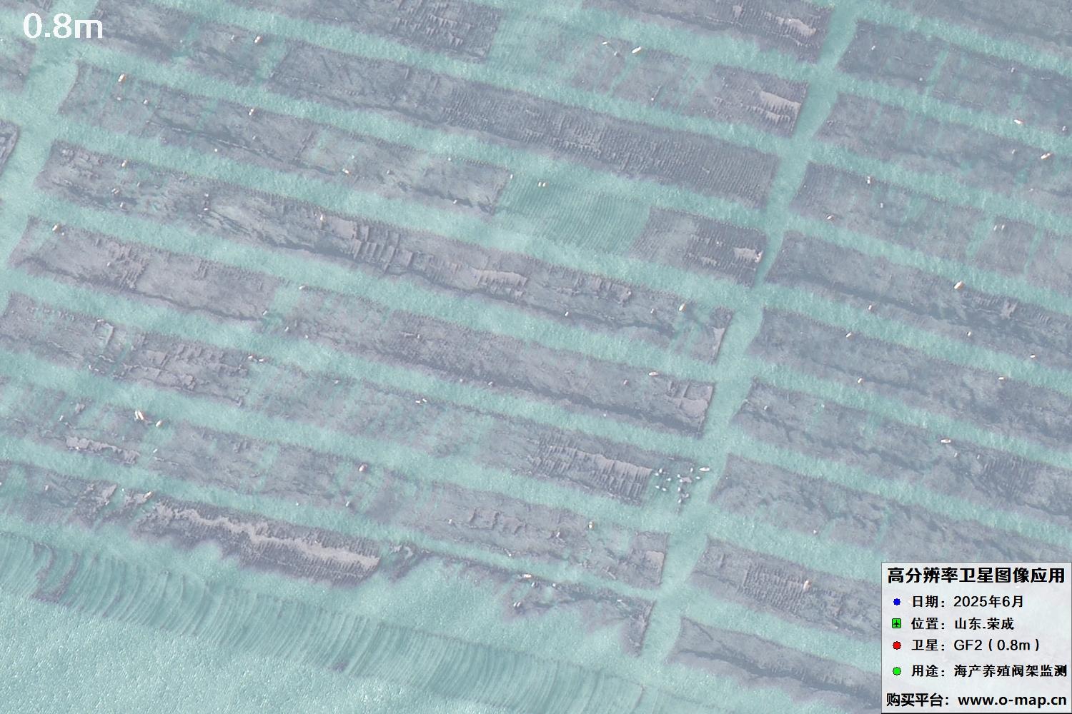 0.8米GF2卫星拍摄的山东省荣成市沿海养殖阀架卫星图像