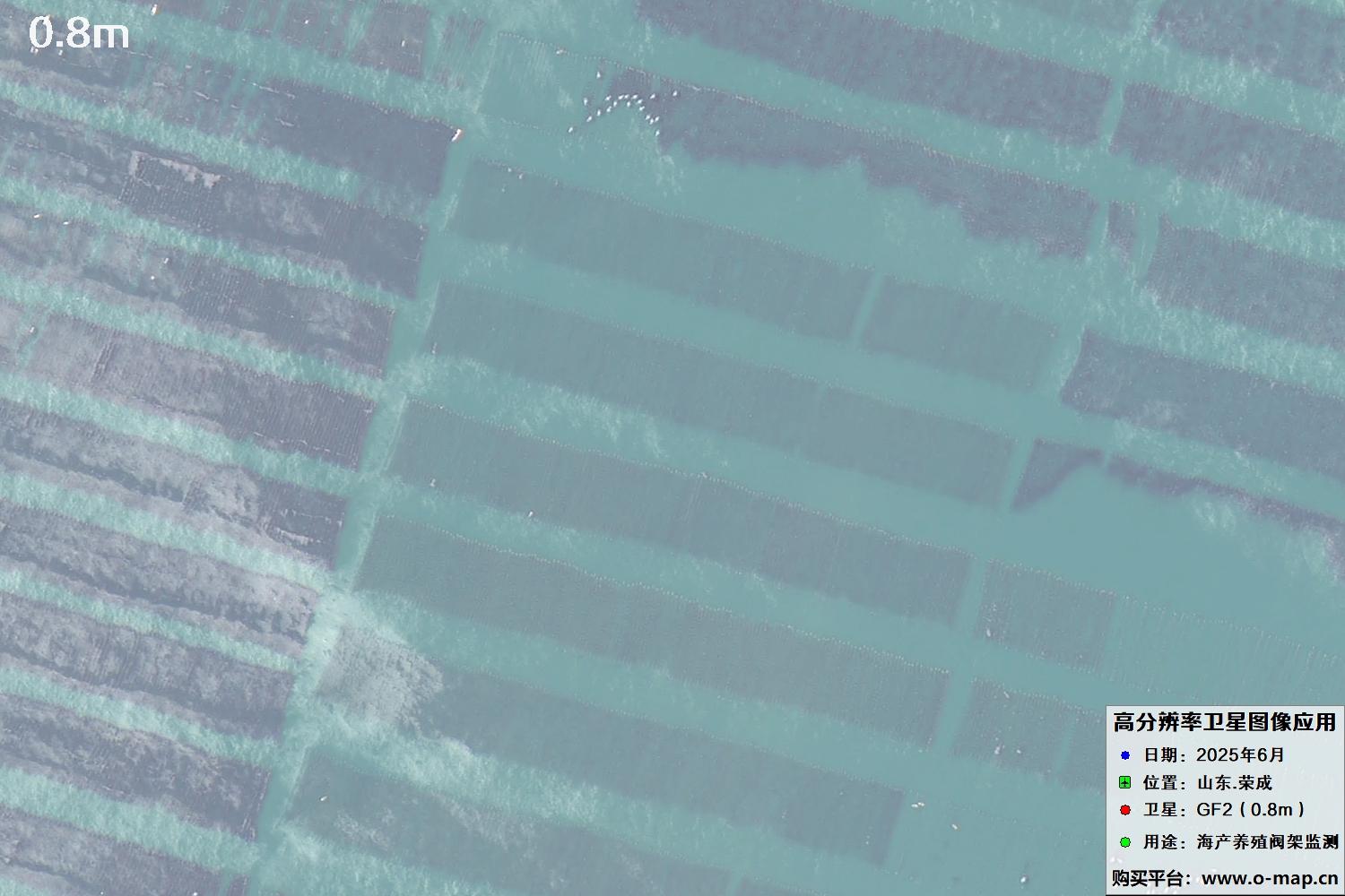 0.8米GF2卫星拍摄的山东省荣成市沿海养殖阀架卫星图像