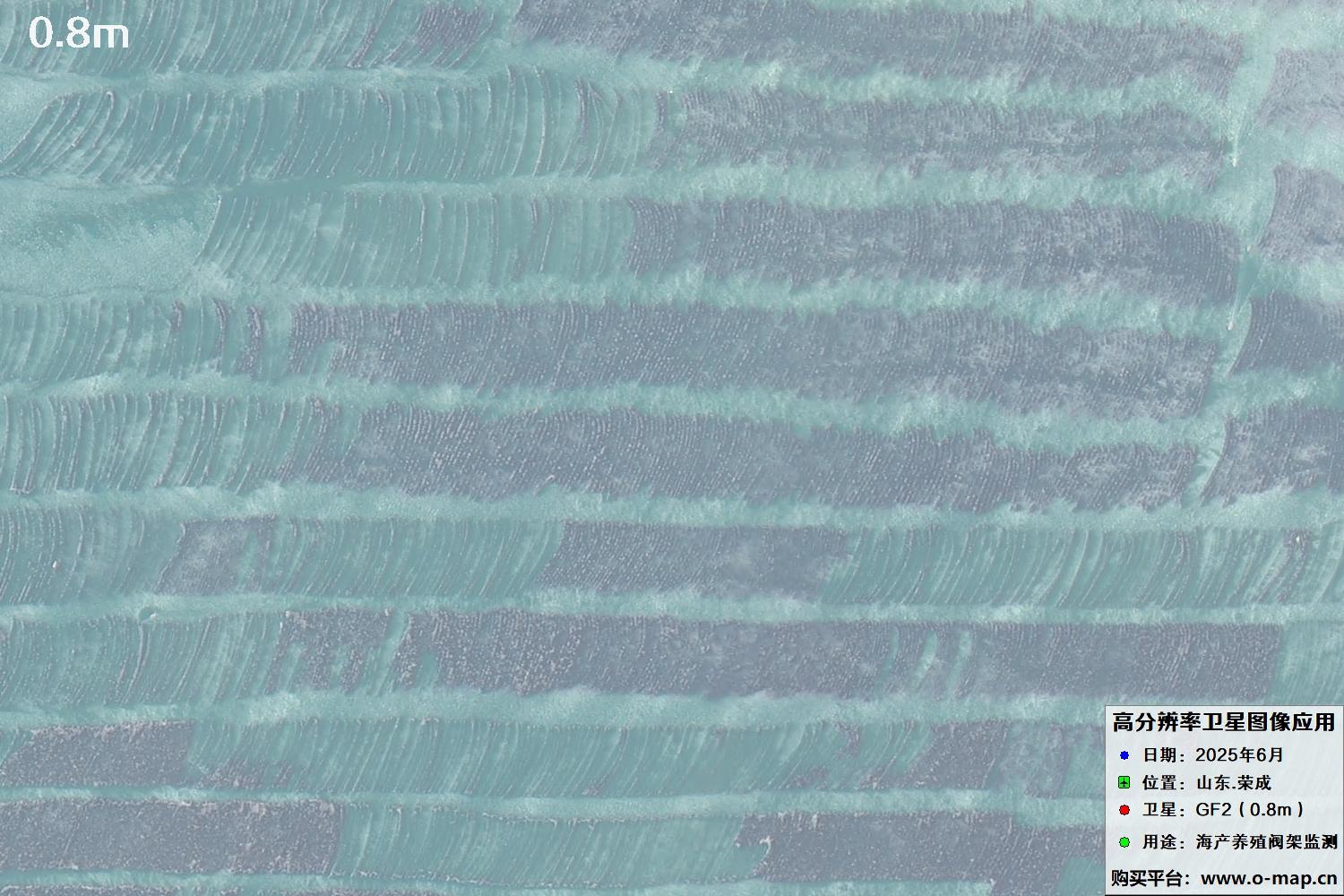 0.8米GF2卫星拍摄的山东省荣成市沿海养殖阀架卫星图像