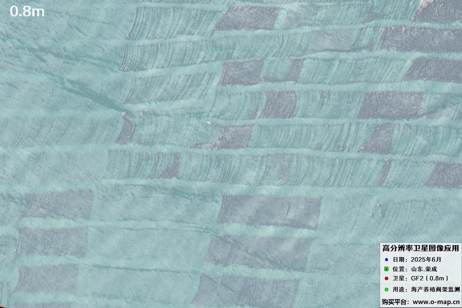 0.8米GF2卫星拍摄的山东省荣成市沿海养殖阀架卫星图像