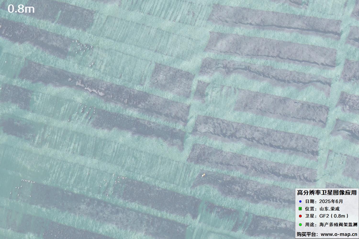 0.8米GF2卫星拍摄的山东省荣成市沿海养殖阀架卫星图像