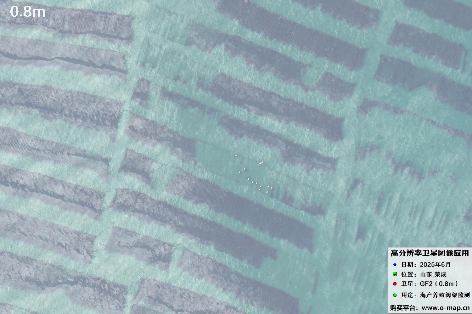 0.8米GF2卫星拍摄的山东省荣成市沿海养殖阀架卫星图像