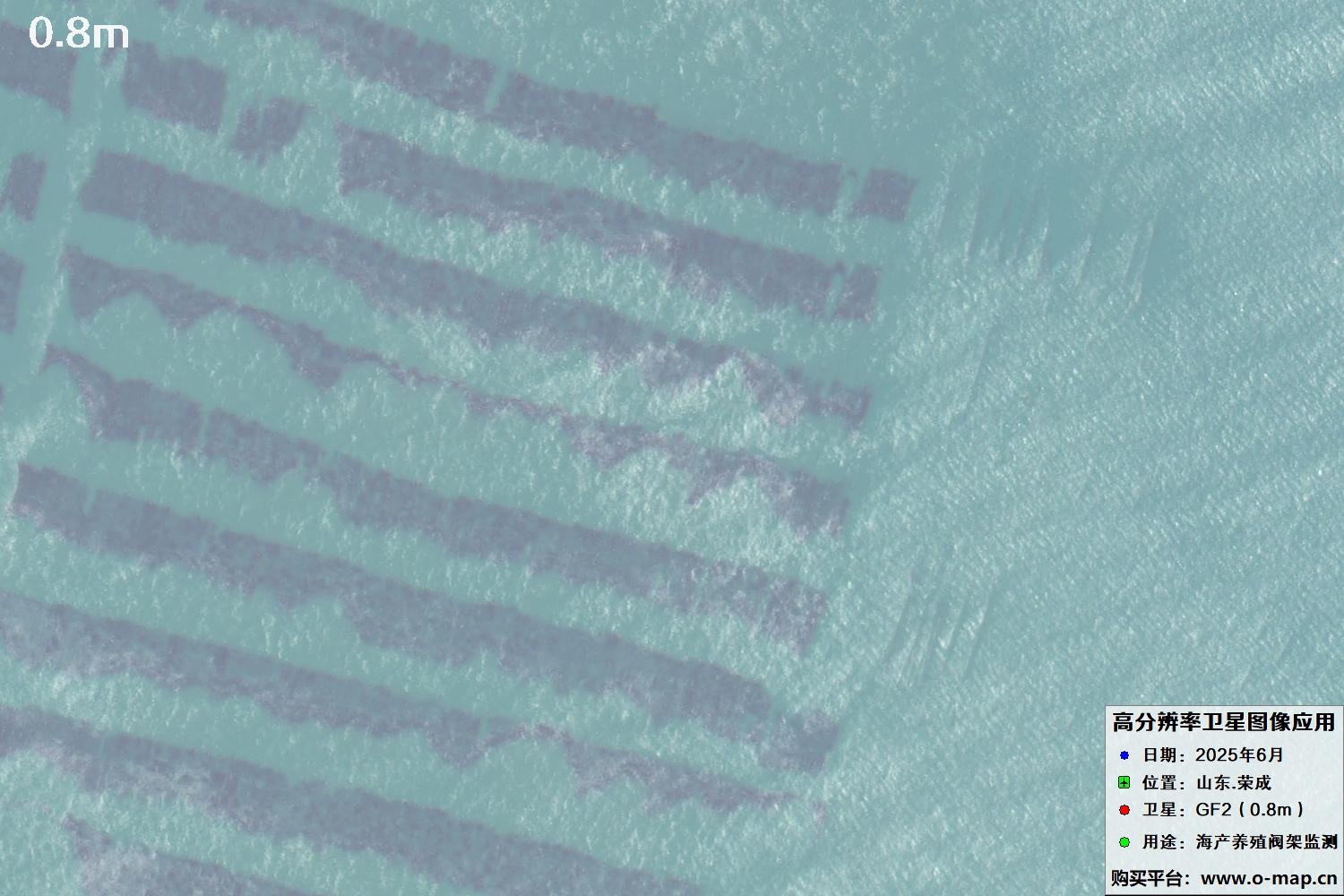 0.8米GF2卫星拍摄的山东省荣成市沿海养殖阀架卫星图像
