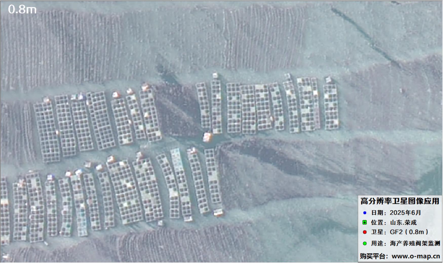 0.8米GF2卫星拍摄的山东省荣成市沿海养殖阀架卫星图像