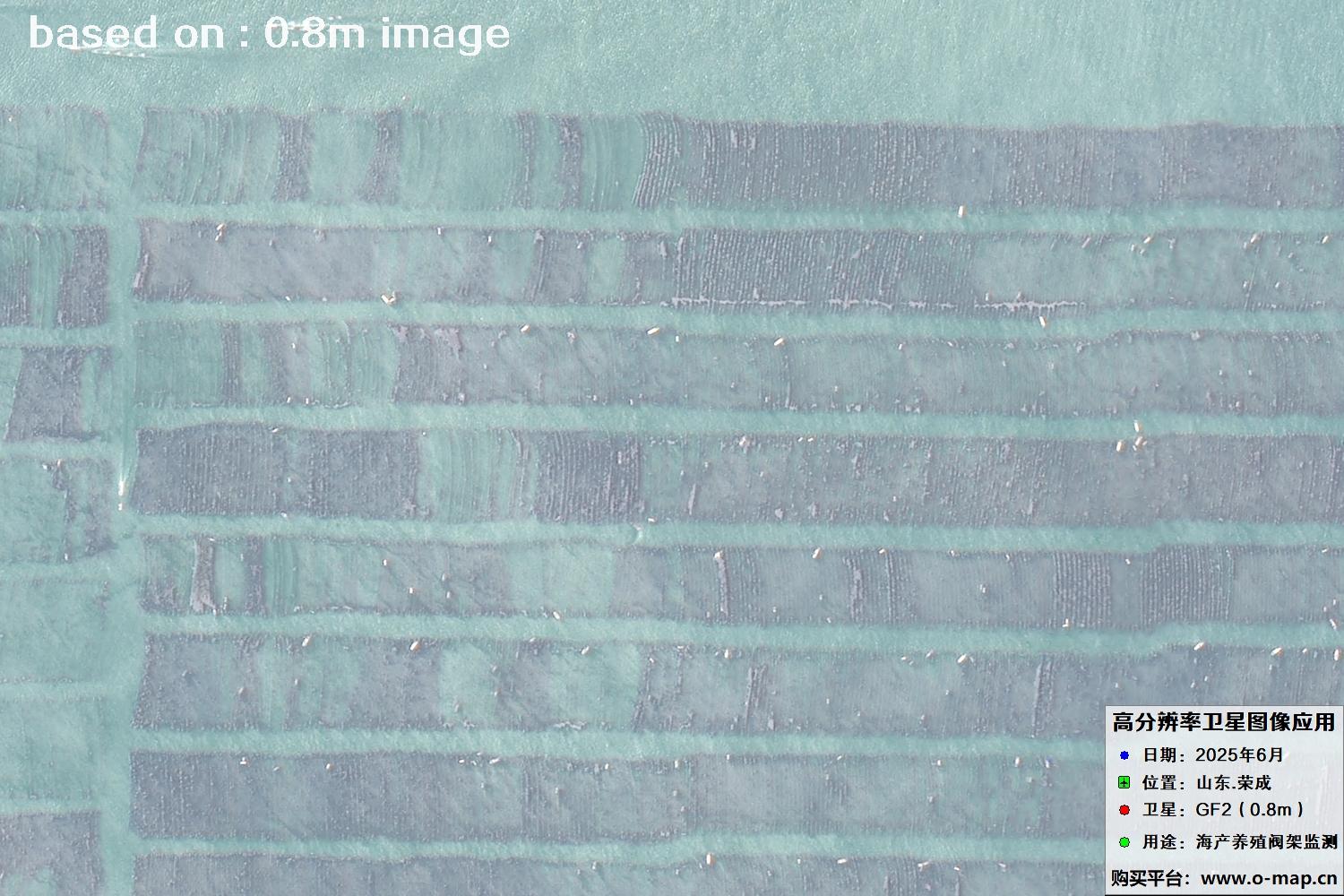 高分二号卫星2025年6月拍摄的山东省荣成市海产养殖卫星图像