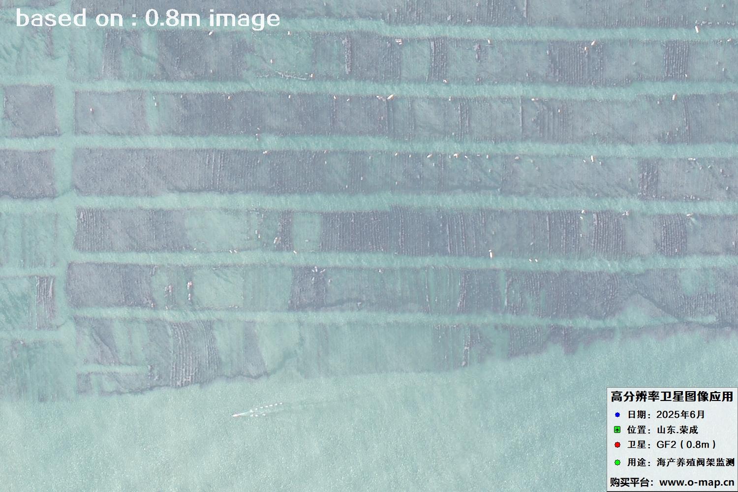 高分二号卫星2025年6月拍摄的山东省荣成市海产养殖卫星图像