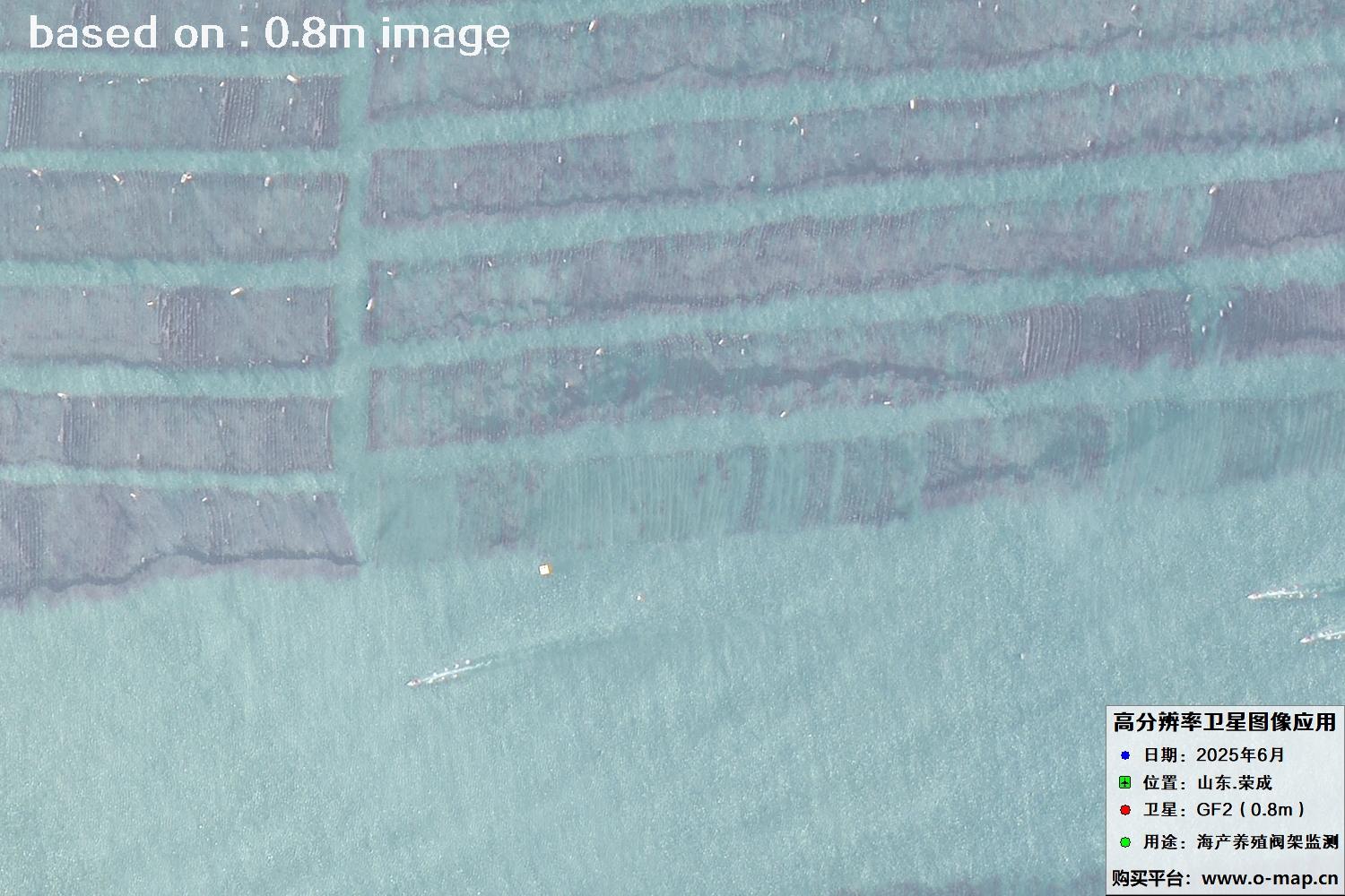 高分二号卫星2025年6月拍摄的山东省荣成市海产养殖卫星图像