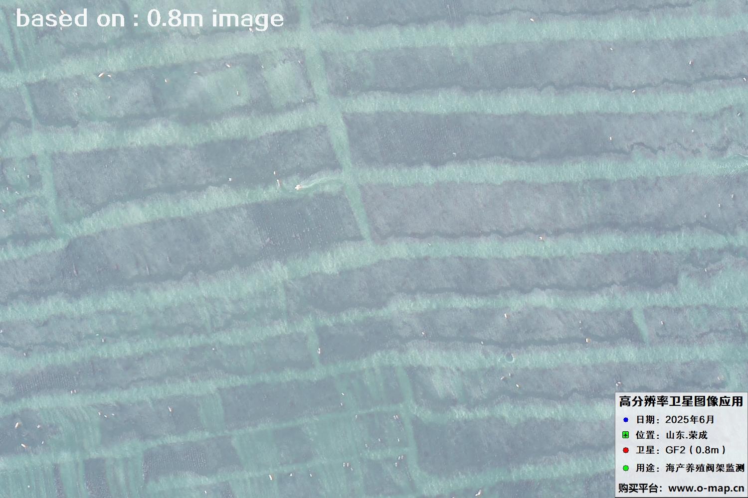 高分二号卫星2025年6月拍摄的山东省荣成市海产养殖卫星图像