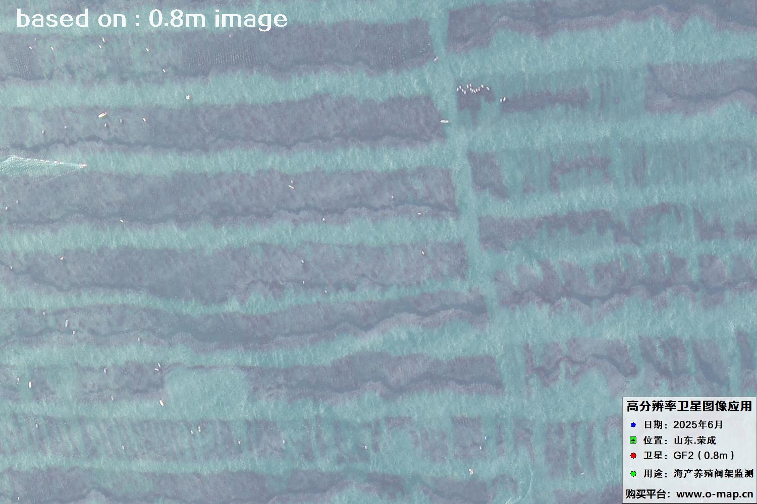 高分二号卫星2025年6月拍摄的山东省荣成市海产养殖卫星图像