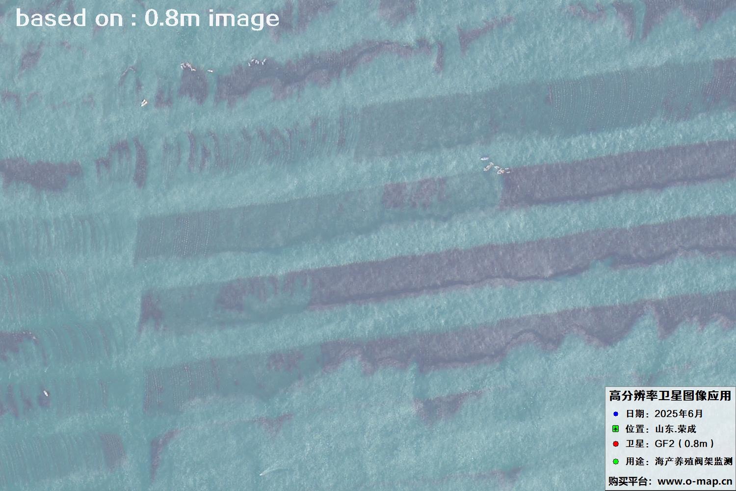 高分二号卫星2025年6月拍摄的山东省荣成市海产养殖卫星图像