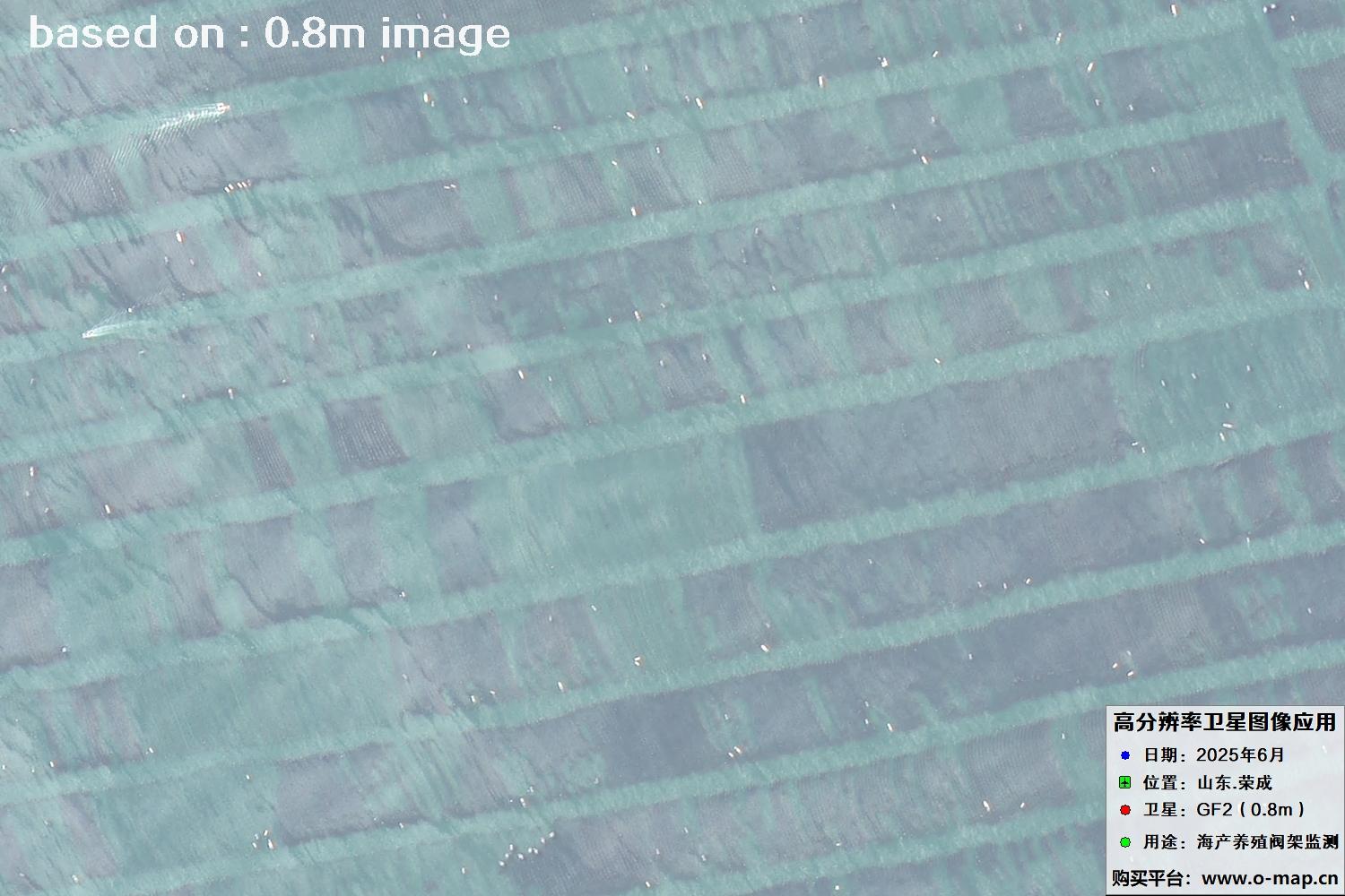高分二号卫星2025年6月拍摄的山东省荣成市海产养殖卫星图像